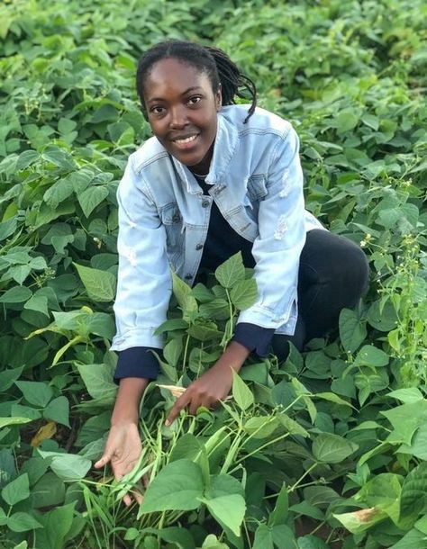 African youth are pivotal in transforming our food systems. By empowering farmers with innovative knowledge and turning agriculture into a business-oriented sector, they are driving sustainable growth & food security. Let us invest in their potential! #agriculture #agribusiness Beans Growing, Park Picnic, Growing Tips, Food System, Food Security, Zambia, Farm Life, Agriculture, Farmer