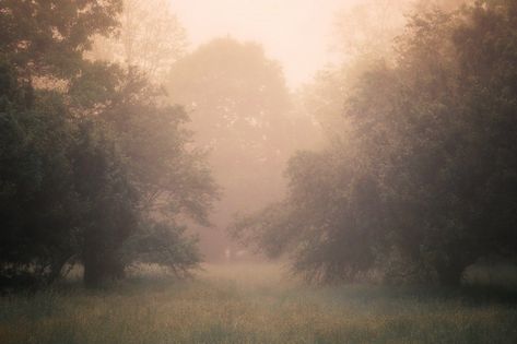 Early Morning Aesthetic, Cottagecore Pictures, Mist Wallpaper, Dark Academic, Morning Aesthetic, Cottage Aesthetic, Morning Mist, Foggy Morning, Country Music Stars