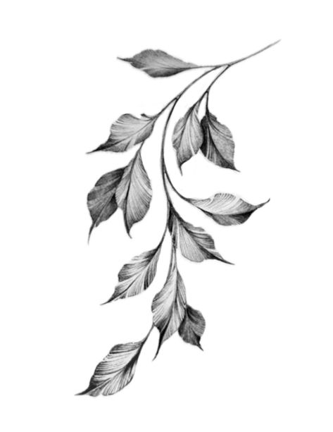 Gothic Flowers Drawing, Botanical Filler Tattoo, Dark Leaves Tattoo, Vine Filler Tattoo, Rose Leaves Tattoo, Minimalist Leaf Tattoo, Jungle Leaves Tattoo, Branch Tattoo Design, Gothic Floral Tattoo