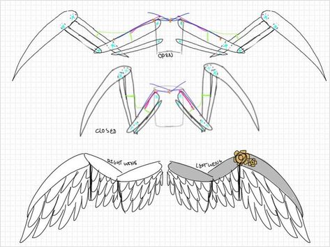 Wing Sketch, Articulating Wings, Wings Template, Articulated Wings, Wing Anatomy, Cosplay Wings, Diy Angels, Diy Wings, Wings Drawing