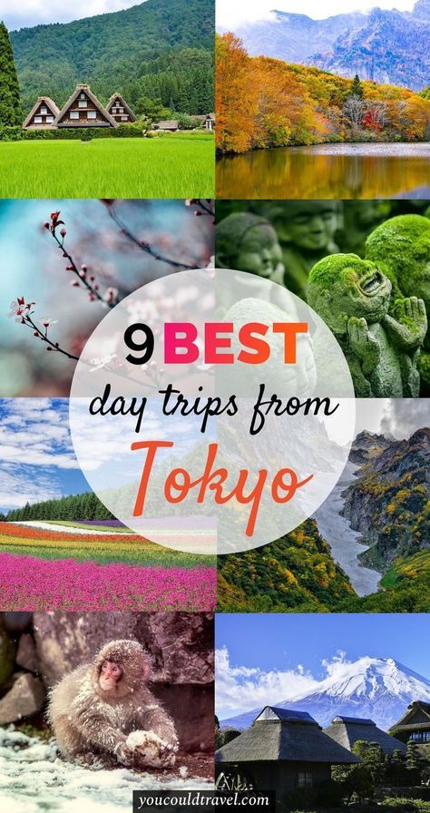 Best Day trips from Tokyo - Want a break from Tokyo? Here are the best day trips you can take from Japan's capital city. You can visit Mount Fuji, Hakone, Nikko and many more places where you can relax and recharge. #japan #tokyo #guide Japan October, Travel Tokyo, Tokyo Trip, Tokyo Guide, Japan Travel Destinations, Visiting Japan, Day Trips From Tokyo, Japan Holidays, Monte Fuji