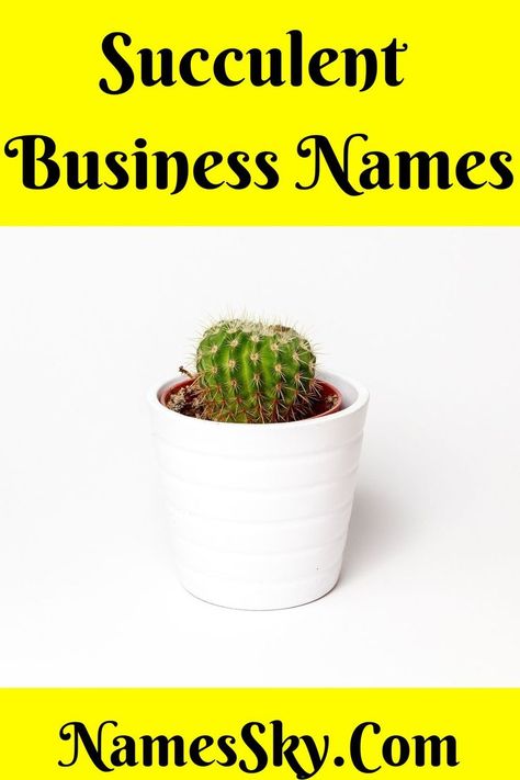 Looking for Succulent Business Names? Succulents are gradually taking their place in plant lovers’ hearts as well as in the indoor garden. Hence, investing in a business of succulents is a promising field and can show you a quick profit as well. @succulentcity @businessinsider @cactuscreek @usatoday @brandbucket Names For Plant Business, Succulent Business, Succulent Names, Unique Business Names, Short Names, Catchy Names, Creative Names, Names Ideas, Name Generator