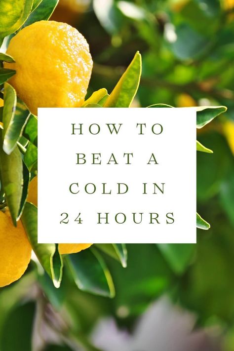 How to Beat a Cold in 24 Hours — Have Health Do Travel Best Cold Remedies, Get Over A Cold, Home Remedies For Bronchitis, For Sore Throat, Mosquito Repellent Bracelet, Sick Remedies, Cold Medicine, Home Remedy For Cough, Cold Sores Remedies