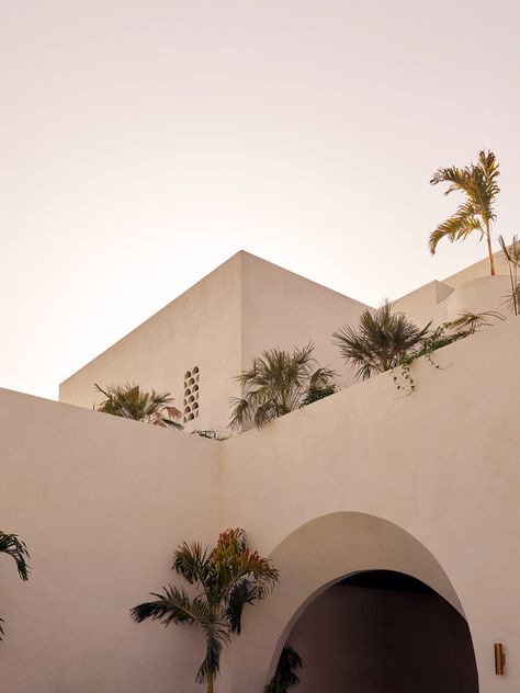 Casa Amal by The Stella Collective - Project Feature - The Local Project - The Local Project Green Mosaic Tiles, Dubai Home, Brutalist Buildings, Relaxing Outdoors, Arabic Design, Curved Walls, The Local Project, European House, Garden Oasis