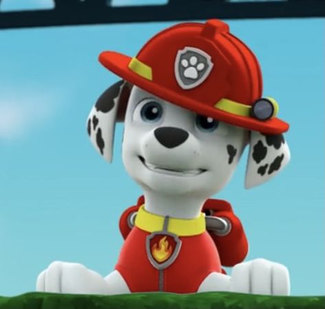 Paw Patrol Marshall, Psi Patrol, Monochrome Background, Bear Birthday Party, Marshall Paw Patrol, Paw Patrol Pups, Boy Character, Bear Birthday, Floppy Ears