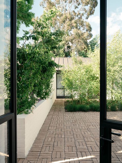 Armidale House by Richards Stanisich - Project Feature - The Local Project - The Local Project Richards Stanisich, South Melbourne, The Local Project, Come Together, The Locals, Melbourne, Landscaping, Sense, Carving