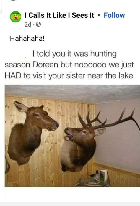 Funny Hunting Pics, Hunting Humor, Country Jokes, Funny Texts Jokes, Mountain Lion, Funny Animal Jokes, Very Funny Pictures, Real Funny Jokes, Animal Jokes