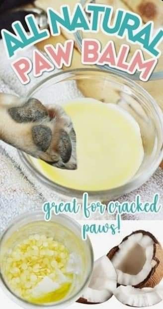 Natural Dog Paw Balm, Dog Paw Softener Diy, Paw Butter For Dogs, Homemade Paw Balm For Dogs, Balm For Dog Paws, Dog Palm Balm Diy, Homemade Dog Paw Balm, Diy Dog Paw Balm Vegan, Dog Paw Pad Moisturizer