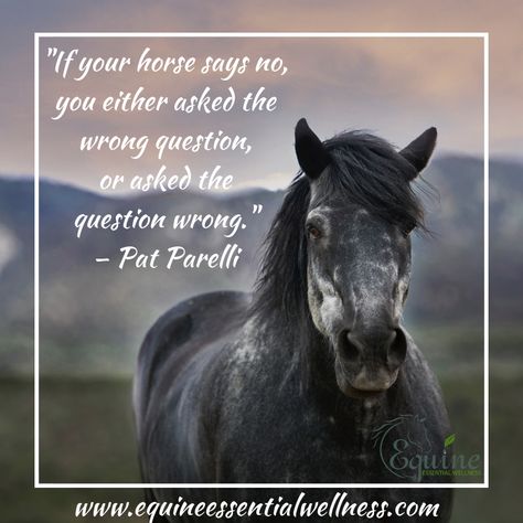 "If your horse says no, you either asked the wrong question, or asked the question wrong." – Pat Parelli Unique Horse Names, Horse Sayings, Pet Quotes, Inspirational Horse Quotes, Horse Riding Quotes, Equestrian Quotes, Animal Reiki, Cowgirl Quotes, Riding Quotes