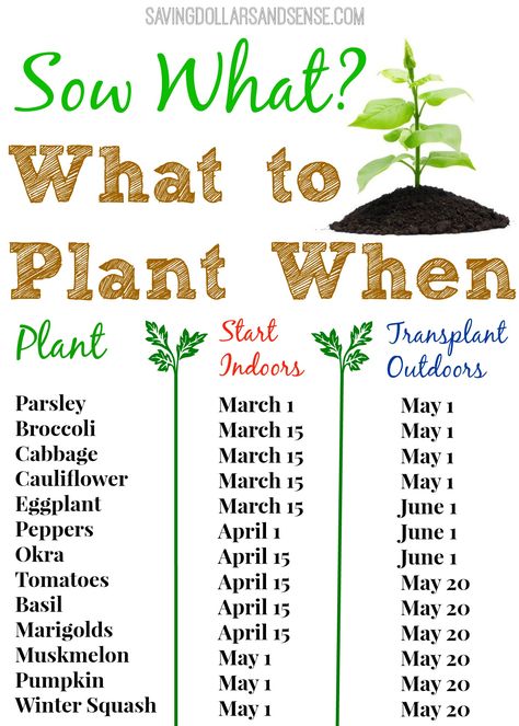 Gardening Chart, What To Plant When, Plantarea Legumelor, Funny Vine, نباتات منزلية, Veg Garden, Home Vegetable Garden, Food Garden, Veggie Garden