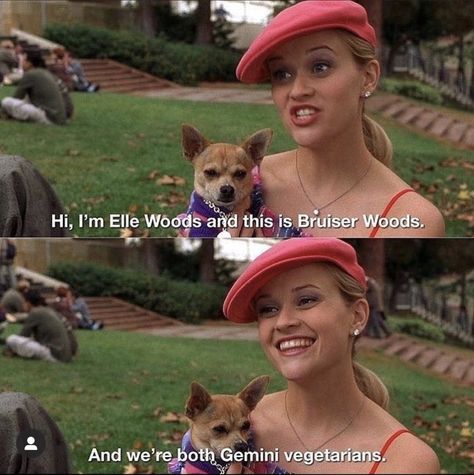 Bruiser Woods, Legally Blonde Quotes, Legally Blonde 3, Reese Witherspoon Movies, Blonde Quotes, Legally Blonde Movie, Legally Blonde 2, Blonde Movie, Funny Lines