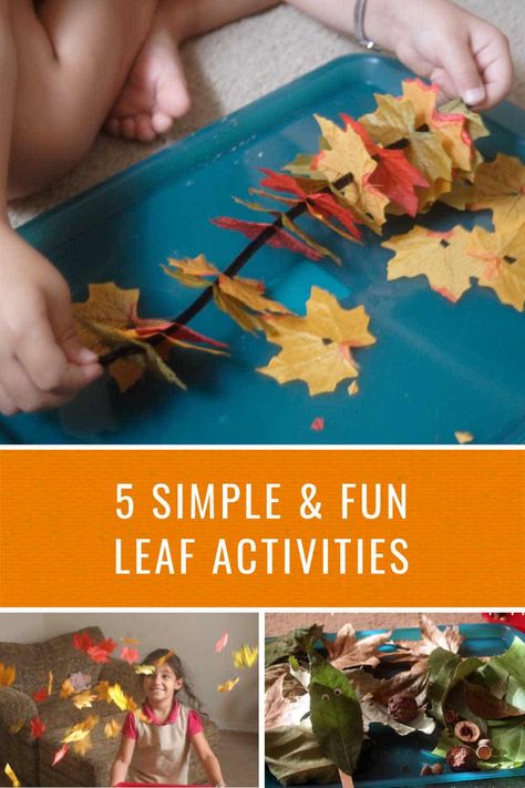 Here are a few simple leaf activities for your child to welcome fall this year. Explore these creative hands-on activities with fall leaves. Preschool Leaves Activities, Leaf Activities For Kids, Fall Leaves Activities, Leaf Activities, Autumn Preschool Theme, Easy Fall Crafts, Autumn Activities For Kids, Fall Preschool, Simple Leaf