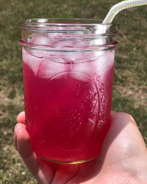 Prickly Pear Lemonade Recipe, Pear Lemonade Recipe, Prickly Pear Lemonade, Pear Lemonade, Prickly Pear Recipes, Prickly Pear Juice, Homemade Rootbeer, Heart Eyes Emoji, Canning Jam Recipes