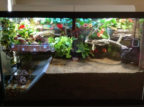 Halloween Moon Crab Tank, Halloween Crab Habitat, Crab Terrarium, Hermit Crab Enclosure, Crab Enclosure, Hermit Crab Tank Ideas, Crab Tank Ideas, Crabitat Ideas, Pet Hermit Crab