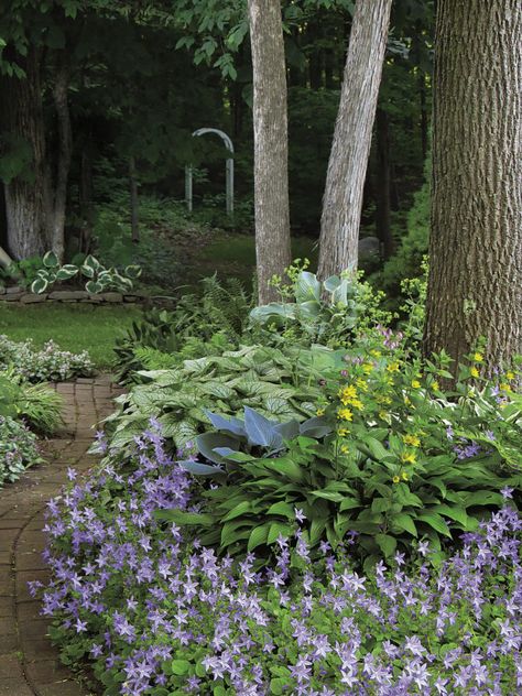 Simple Garden Design Ideas, Woodland Garden Ideas Enchanted Forest, Woodland Garden Design, Backyard Path, Wooded Backyard Landscape, Garden Combinations, Bangkok Cafe, Messy Garden, Shade Garden Design