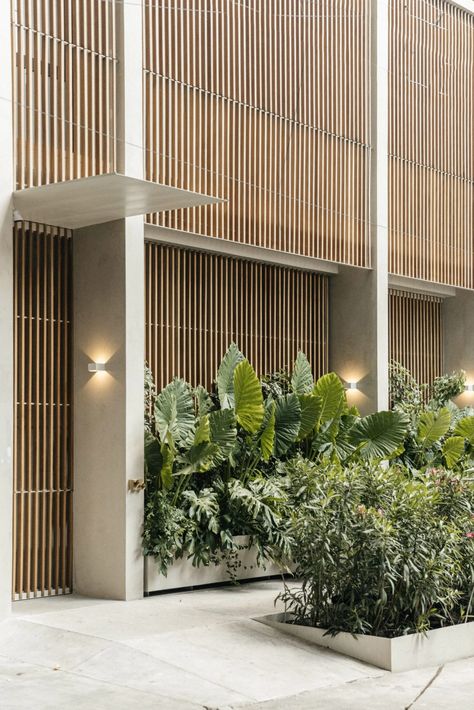 Exterior Green Wall Design, Lattice Screen, Museum Cafe, Greenery Design, Hotel Exterior, Architecture Life, Mexico Hotels, Balcony Plants, Wooden Screen