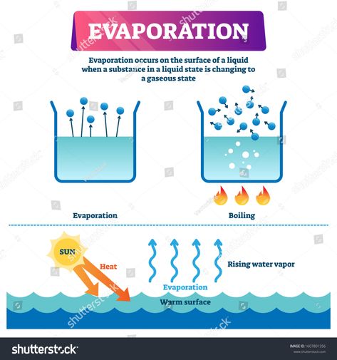 Evaporation vector illustration. Labeled liquid surface substance change to gas state scheme. Educational explanation diagram with nature phenomenon when sun heats warm water and triggers rising vapor #Ad , #spon, #change#substance#gas#scheme Science Dictionary, 4th Grade Sight Words, Technology Ppt Template, Aesthetic Notes Ideas, Solutions And Mixtures, Ppt Background Template, Fractional Distillation, Ppt Template Free Download, Monthly Budget Worksheet