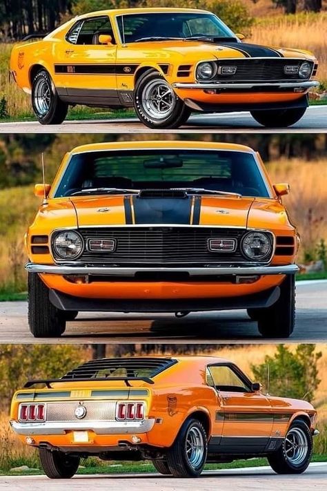 1970 Mustang, Ford Mustang Classic, Muscle Cars Mustang, Automobile Advertising, Old Muscle Cars, 1970 Ford Mustang, Mustang Mach 1, Cars Usa, Classic Mustang