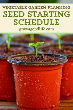 Seed Starting Schedule, When To Transplant Seedlings, Planting Schedule, Gemüseanbau In Kübeln, Compost Container, Growing Vegetables In Pots, Vegetable Garden Planning, Vegetable Garden Diy, Garden Wallpaper