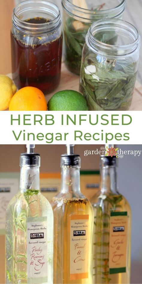 Herb infused vinegar gives you practically unlimited flavour combinations that you can use on salads, as dips, or even by the spoonful. Here’s how to make herb vinegar, plus a few of my favourite combinations to get you started. #gardentherapy #canning #handmadegifts #herbs #recipes Easy Recipes To Try, Diy Extracts, Love Herbs, How To Make Vinegar, Herbal Vinegar, Flavored Vinegars, Infused Vinegars, Fermentation Recipes, Herb Recipes