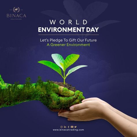 Safeguard Our Biodiversity, Safeguard Our Future! On this World Environment Day, Binaca reminds you that without a healthy environment there won't be healthy living so we should make sure to keep it greener. . . Let’s Together Save Our World!! #binaca #worldenvironmentday #greenday #environmentday2022 World Environment Day Posters, Medical Website Design, Admissions Poster, Future Poster, Graphic Shapes Design, Awareness Poster, Social Media Advertising Design, Science Projects For Kids, Intresting Facts