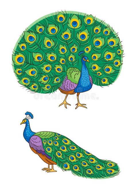 Peacock Vector, Glowing Background, Beautiful Rangoli, Cartoon Funny, Beautiful Rangoli Designs, Web Blog, Music Files, Banner Printing, Peacock Feathers