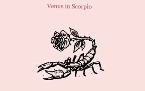 Venus in Scorpio Scorpio Venus Tattoo, Venus In Scorpio Aesthetic, Scorpio Venus Aesthetic, Scorpio Venus Style, Venus Scorpio, Aesthetic Scorpio, Venus In Scorpio, Venus Astrology, Scorpio Aesthetic