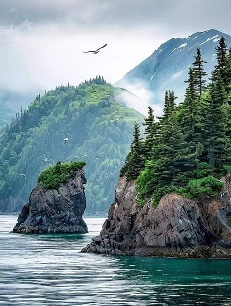 Kenai Fjords, Mountain Man, Nature Beauty, Alaska, Landscape Photography, Cool Photos, National Parks, Photography, Travel