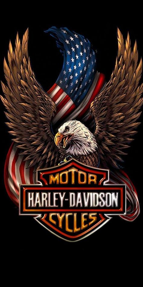 Harley Davidson Kunst, Art Harley Davidson, Logo Harley Davidson, Motocykle Harley Davidson, Harley Davidson Decals, Motor Harley Davidson, Flag Cross Stitch, Harley Davidson Posters, Harley Davidson Pictures