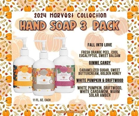 Harvest Hand Soap 3-pack ⁪ 🍁 Fall Into Love 🍁 Gimme Candy 🍁 White Pumpkin & Driftwood ⁪ #ScentsyWithCatharine #ScentsyIndependentConsultant Scentsy Fall 2024, Scentsy Hand Soap, Scentsy Sale, Scentsy Facebook Party, Scentsy Brick, Scentsy Oils, Scentsy Fall, Scentsy Consultant Ideas, Scent Warmers