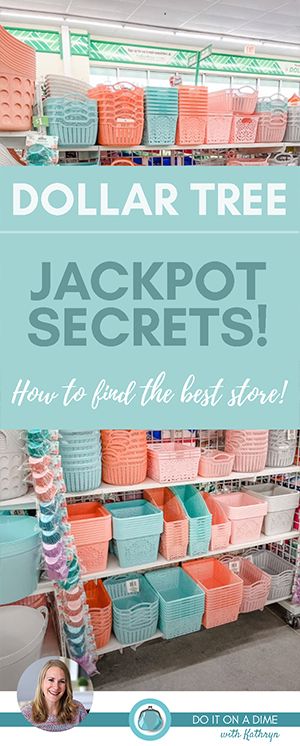 Organiser Ideas, Dollar Tree Baskets, Dollar Tree Storage, Dollar Tree Diy Organization, Mom Crafts, Dollar Tree Organization, Bake Chicken, Dollar Store Diy Organization, Grocery Savings