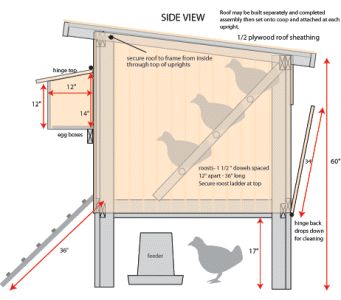 Nest Boxes, Backyard Chicken Coop Plans, Diy Chicken Coop Plans, Coop Design, Chicken Houses, Chicken Coop Designs, Chicken Garden, Chicken Coop Ideas, Building A Chicken Coop