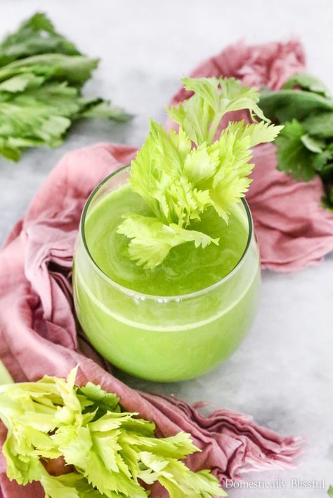 This Apple Celery Juice recipe has a splash of lemon with an optional addition of ginger for a cold refreshing green drink. | Celery Apple Juice recipe for a refreshing morning drink. | Apple Celery Ginger Juice drink recipe for breakfast. | Easy cleanup juicer for early morning juicing. | Quick cleanup juicer for mornings on the go. | Green juice recipe with apple, celery, and optional ginger. | Breakfast drink recipe that is green and delicious. | Healthy drink recipe. Celery Apple Juice Recipe, Celery Apple Ginger Juice, Celery And Apple Juice, Apple Celery Juice, Ginger Apple Juice, Celery Juice Recipe, Healthy Green Juice, Carrot Ginger Juice, Apple Juice Recipe