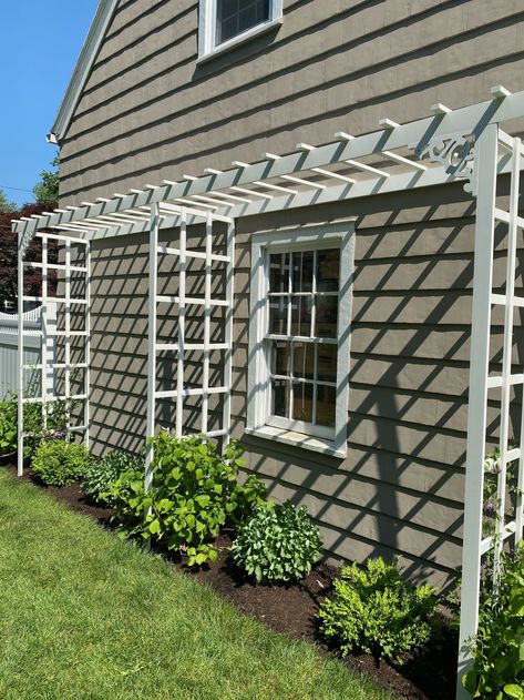 Front Porch Trellis Ideas, Trellis Side Of House, Trellis Diy Garden, Front Of House Trellis Ideas, Trellis In Front Of House, Trellis Next To House, Trellis In Front Of Window, Trellis Over Driveway, Window Trellis Exterior