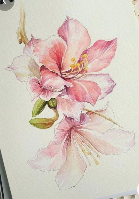 Aquarelle Drawing, Flowers Mandala, Mandala Ideas, Watercolor Blog, Floral Watercolor Paintings, Lily Painting, Drawing Flowers, Watercolor Flower Art, Illustration Watercolor