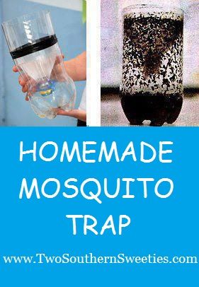 Mosquito Trap Homemade, Indoor Mosquito Trap, Mosquito Trap Diy, Homemade Fly Traps, Diy Fly Trap, Mosquitoes Remedies, Mosquito Repellent Homemade, Mosquito Traps, Diy Mosquito Repellent