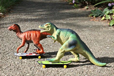 Dinovember Toy Dinosaurs, Plastic Dinosaurs, Little Prince, Jurassic World, My Vibe, T Rex, Dinosaurs, Album Covers, Road