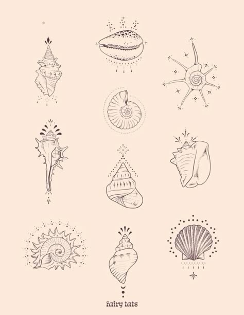 Sea Shells Tattoo Ideas, Shell Tattoo Ideas, Fairy Tats, Sea Shell Tattoo, Beachy Tattoos, Shell Tattoo, Hawaii Tattoos, Seashell Tattoos, Shell Tattoos