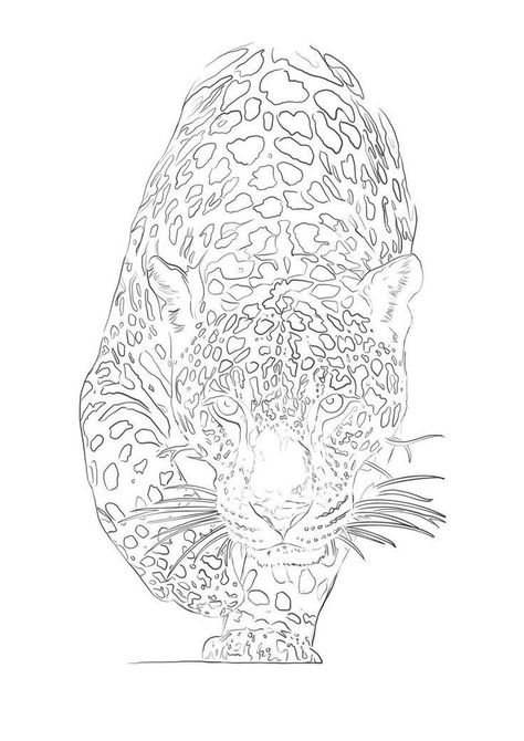 Leopard Drawing, Half Sleeve Tattoo Stencils, 30 Tattoo, Lion Art Tattoo, Regard Animal, Magic Runes, Leopard Tattoos, Butterfly Sketch, Tattoo Outline Drawing