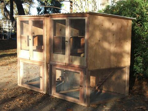 Pallet Chicken Breeding Pens | Visit my blog! the Egg Farm and enter the give-a-way for Egg, by ... Chicken Breeding Pens, Chicken Quilts, Duck Pen, Chicken Breeding, Chicken Hatching, Quail Coop, Egg Farm, Poultry Breeds, Chicken Dance