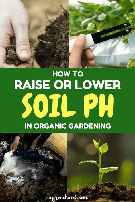 Soil Mixture, Acidic Soil, Organic Pesticide, Organic Vegetable Garden, Soil Ph, Sandy Soil, Healthy Garden, Wildflower Garden, Organic Gardening Tips