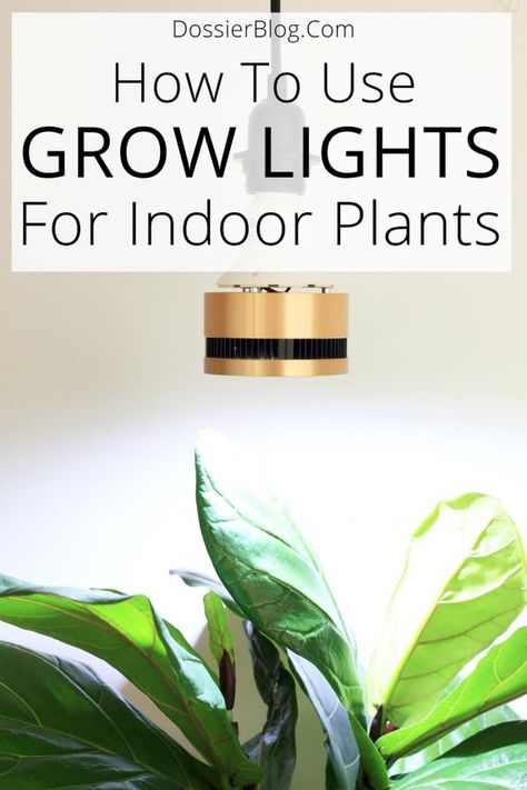 Help Plants Grow, Indoor Plant Lights, Indoor Gardening Supplies, Plant Lamp, Indoor Grow Lights, Best Led Grow Lights, Lamps Aesthetic, Grow Light Bulbs, Therapy Lamp