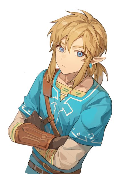 Link Fan Art, Link Botw, Link Art, Hyrule Warriors, Link Zelda, Nintendo Art, Zelda Art, Legend Of Zelda Breath, Zelda Breath