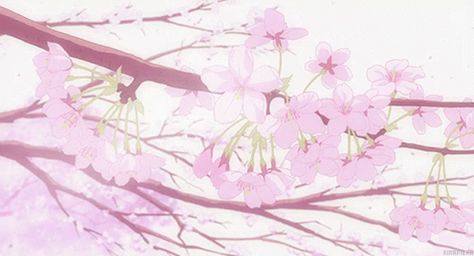 Anime Cherry Blossom, Sakura Wallpaper, Gif Background, Animated Banners, Cute Banners, Banner Gif, Anime Gifts, Madara Uchiha, Aesthetic Gif