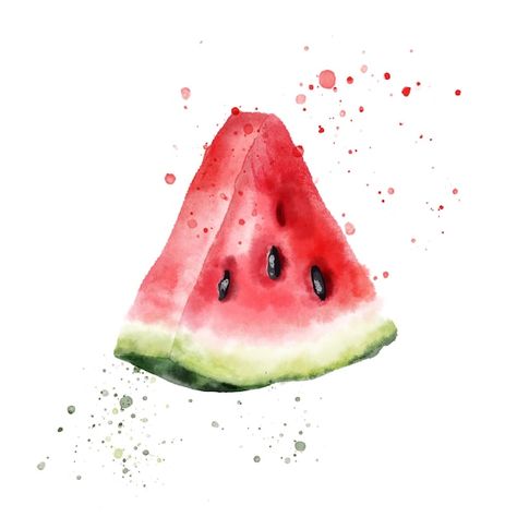 Watermelon Illustration Art, Watermelon Illustration Cute, Watermelon Slice Drawing, Watercolour Watermelon, Watermelon Picture, Loc Spray, Aesthetic Watermelon, Watermelon Aesthetic, Watermelon Pictures