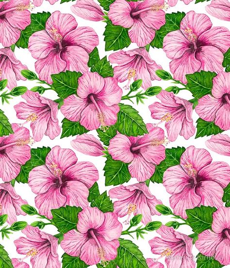 Hibiscus Watercolor, Hibiscus Pattern, Tropical Watercolor, Flowers Painted, Pink Hibiscus, Retro Images, Watercolor Bouquet, Rare Flowers, Stained Glass Patterns