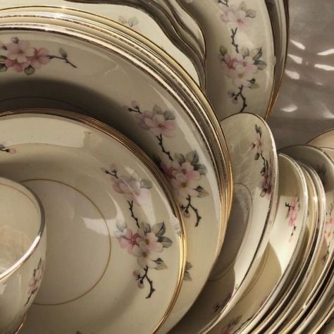 Meg March Aesthetic, The March Sisters, March Aesthetic, Little Woman, Cinnamon Girl, Vintage Coquette, Louisa May Alcott, China Plates, Little Women