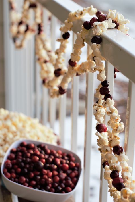 Cranberry Garland Diy, Cranberry Garland, Garlands Christmas, Diy Garlands, Zero Waste Christmas, Popcorn Garland, Eco Christmas, Diy Christmas Garland, Fun Christmas Activities