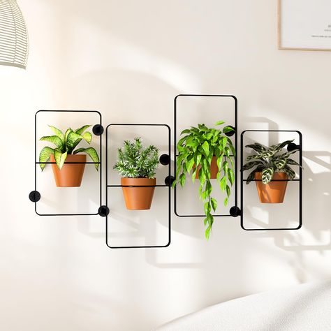 PRICES MAY VARY. Unique Design: The wall Hanging Planters of different sizes have varying heights from the wall and can be arranged in a crisscross pattern,offer a unique way to decorate your walls Free Combination: With 4 independent wall plant holders, you can easily customize your plant display. Arrange and rearrange the hanging plant stands to create unique patterns that enhance your home’s aesthetic Space-Saving: Optimize your space with our wall hanging planters. By hanging your plants, yo Metal Plant Wall Hanger, Indoor Wall Plants Decor, Plant Hangers For Windows, Vertical Herb Garden Indoor, Herb Wall Kitchen, Plant Arrangements Indoor, Floating Plant Shelves, Plant Shelves Indoor, Plant Stand Wall