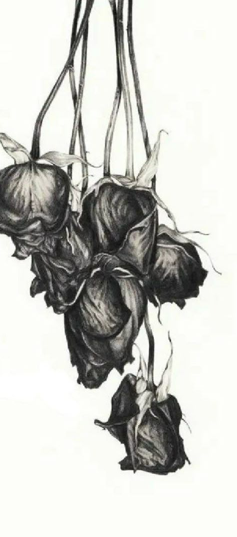 Wilted Flowers Tattoo, Decay Tattoo, Fleurs Art Nouveau, Rose Sketch, Muster Tattoos, Tattoo Style Drawings, Rose Drawing, Flower Sketches, Roses Drawing